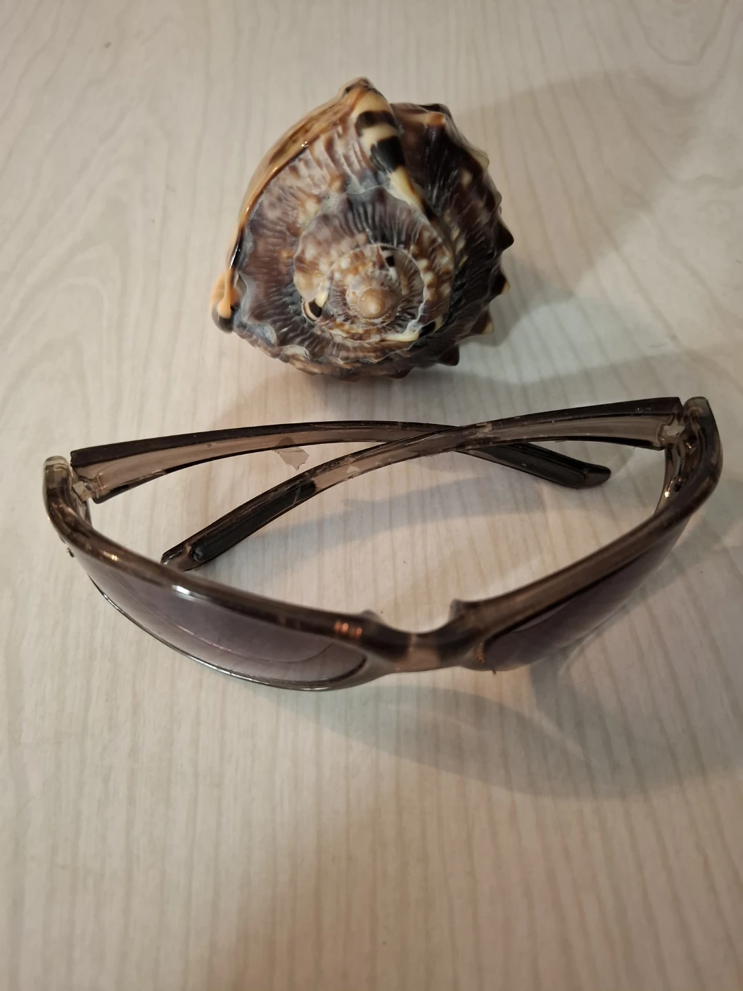 Decorative sea Shell - photo 4