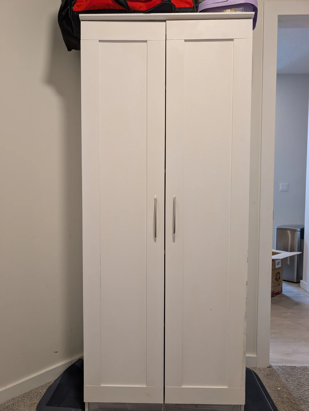 White Double Door Storage Cabinet with Shelves
