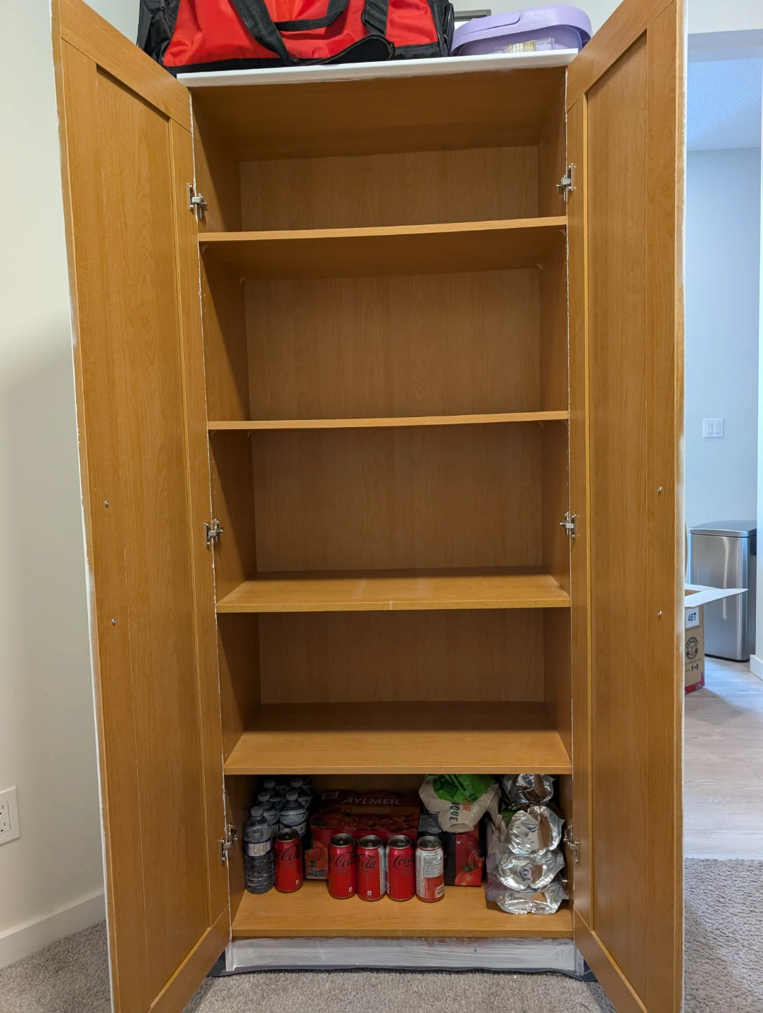White Double Door Storage Cabinet with Shelves - photo 2