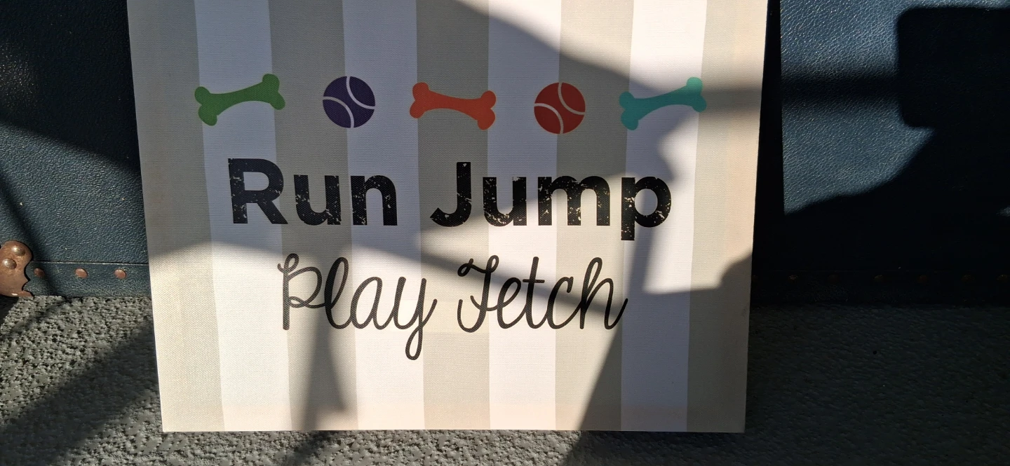 Run Jump Play Fetch Dog Wall Art Sign