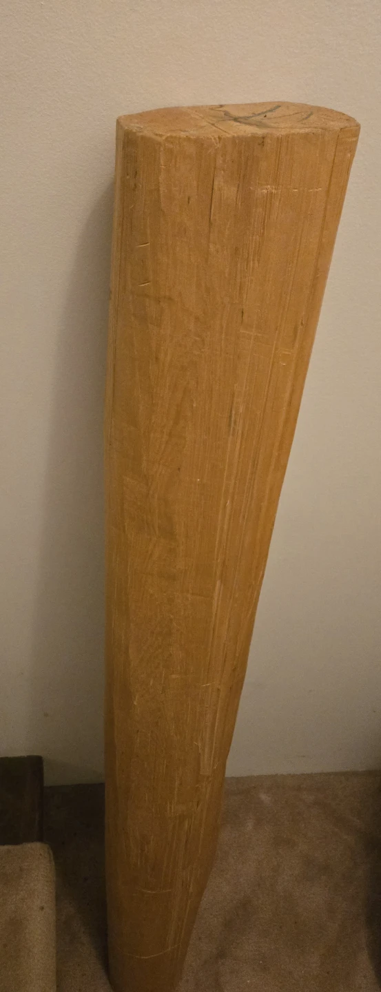 Rare piece of center core yellow cedar