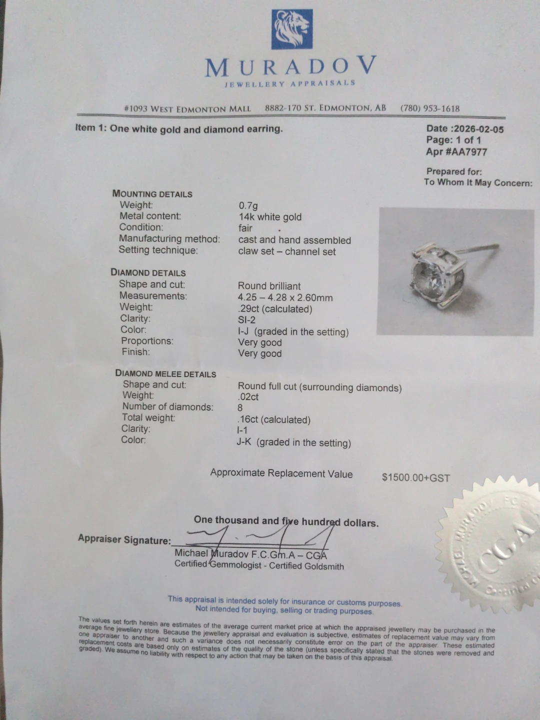 14k White Gold Diamond Earring