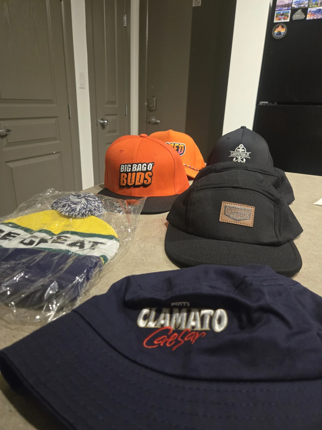 Assorted Hats and Beanie Bundle