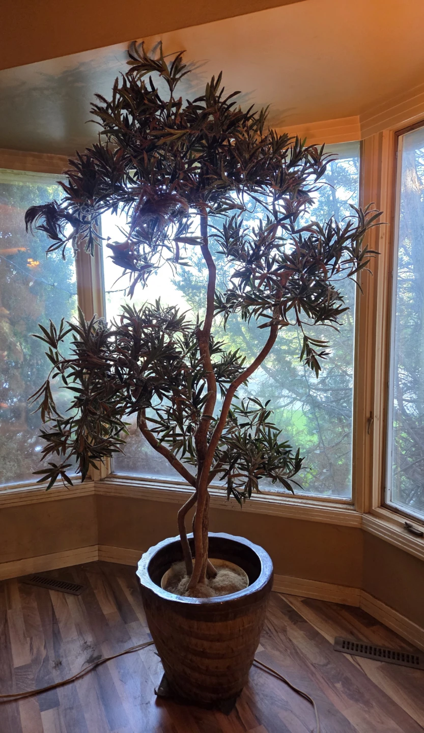 Artificial Olive Tree in Decorative Pot