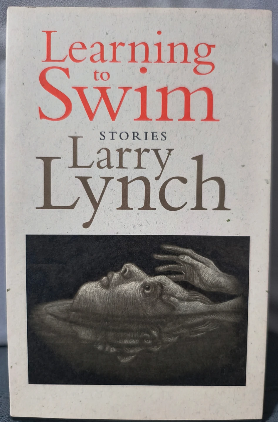 Learning to Swim Stories by Larry Lynch