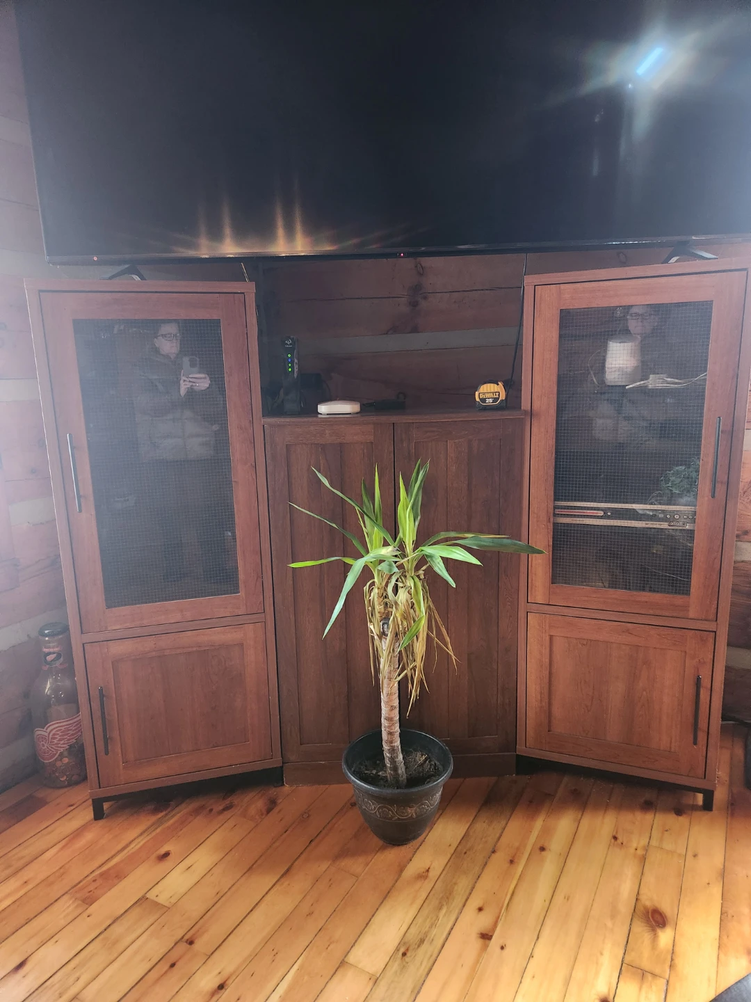 Wooden Cabinet with Glass and Wire Mesh Doors - photo 2