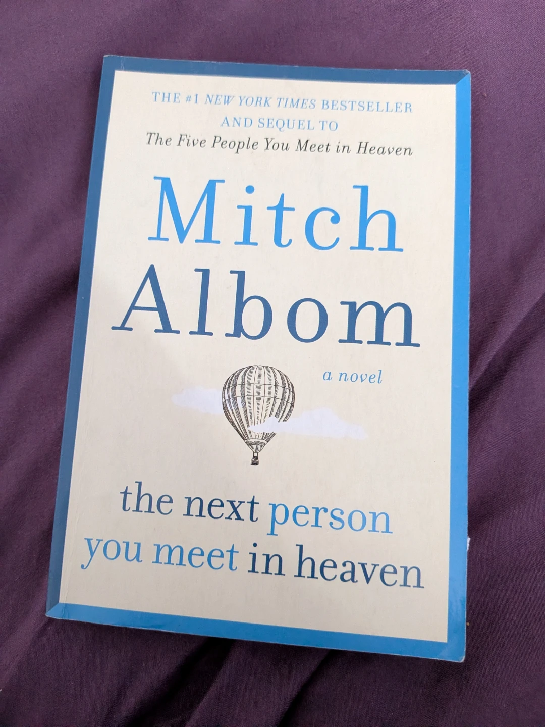 The Next Person You Meet in Heaven Novel