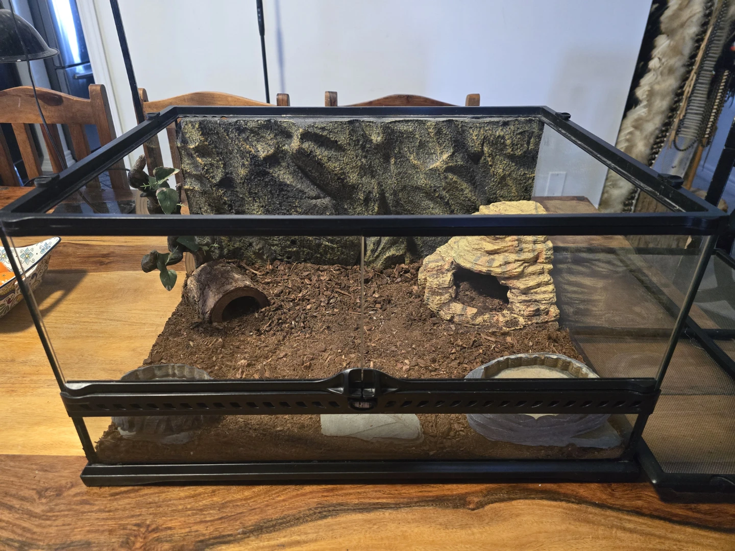Terrarium Reptile Habitat with Accessories
