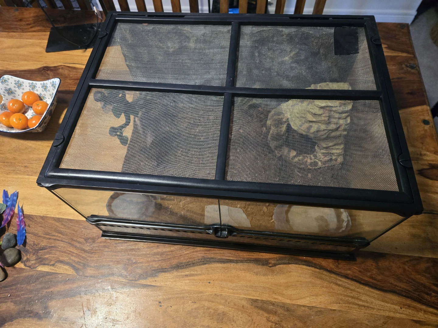 Terrarium Reptile Habitat with Accessories - photo 2