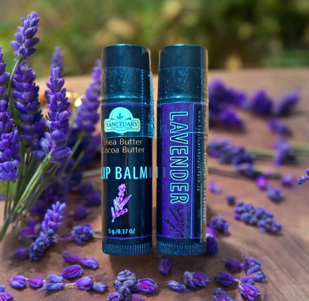 Sanctuary Natural Farm Lavender Lip Balm🏆