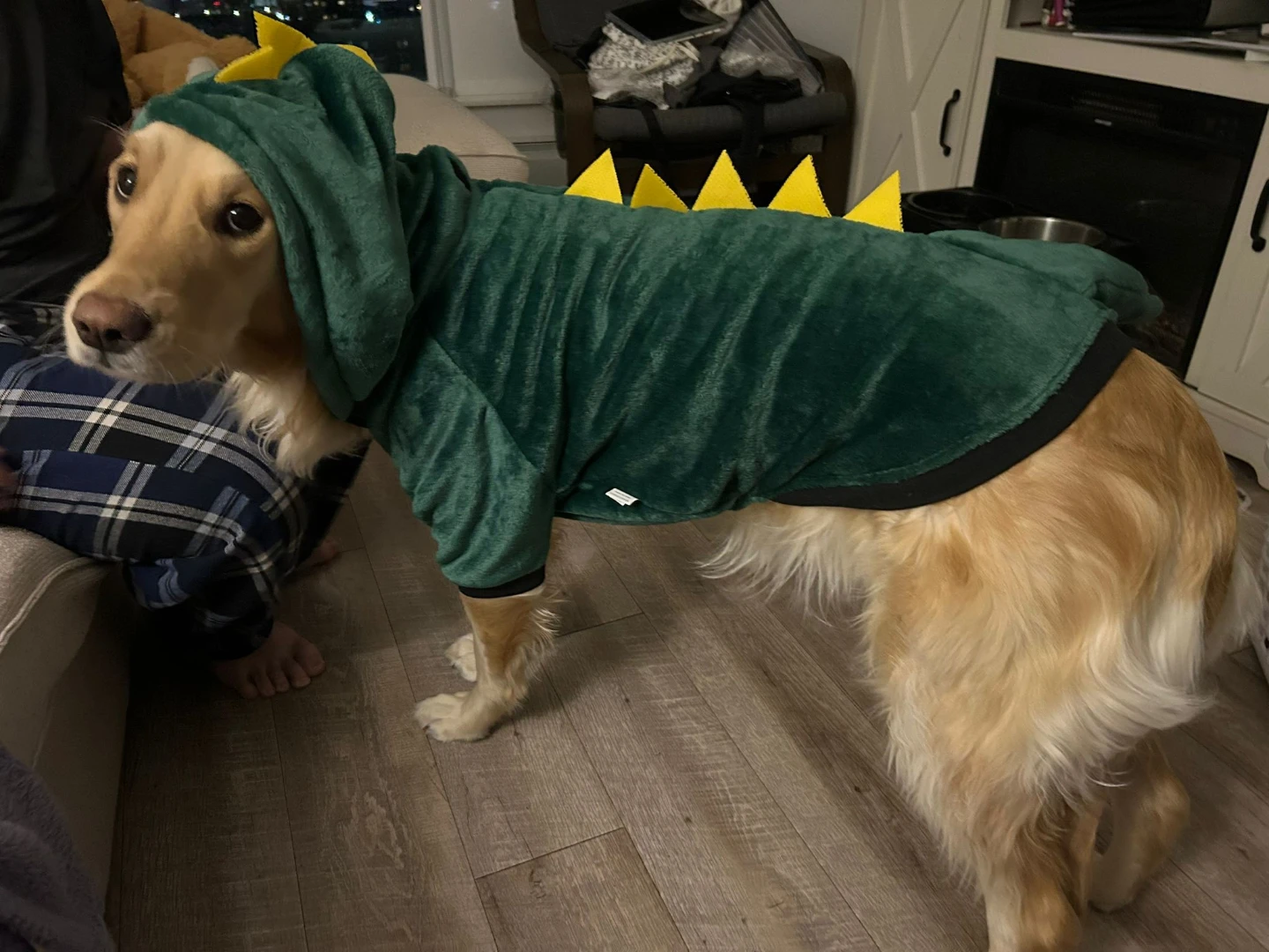 Green Dinosaur Pet Costume 5XL - photo 2