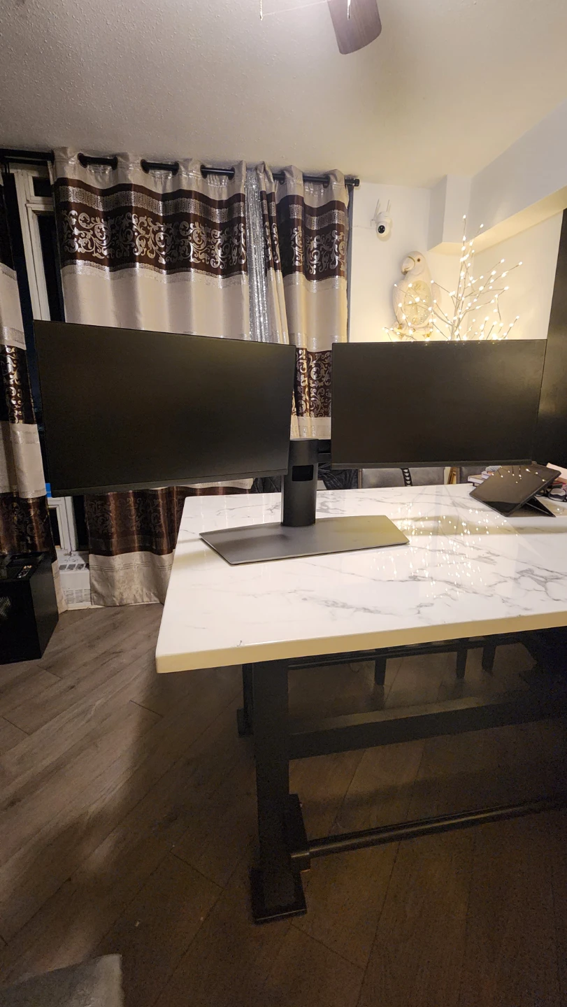 Dell P2422H ,Dual Monitors  and stand