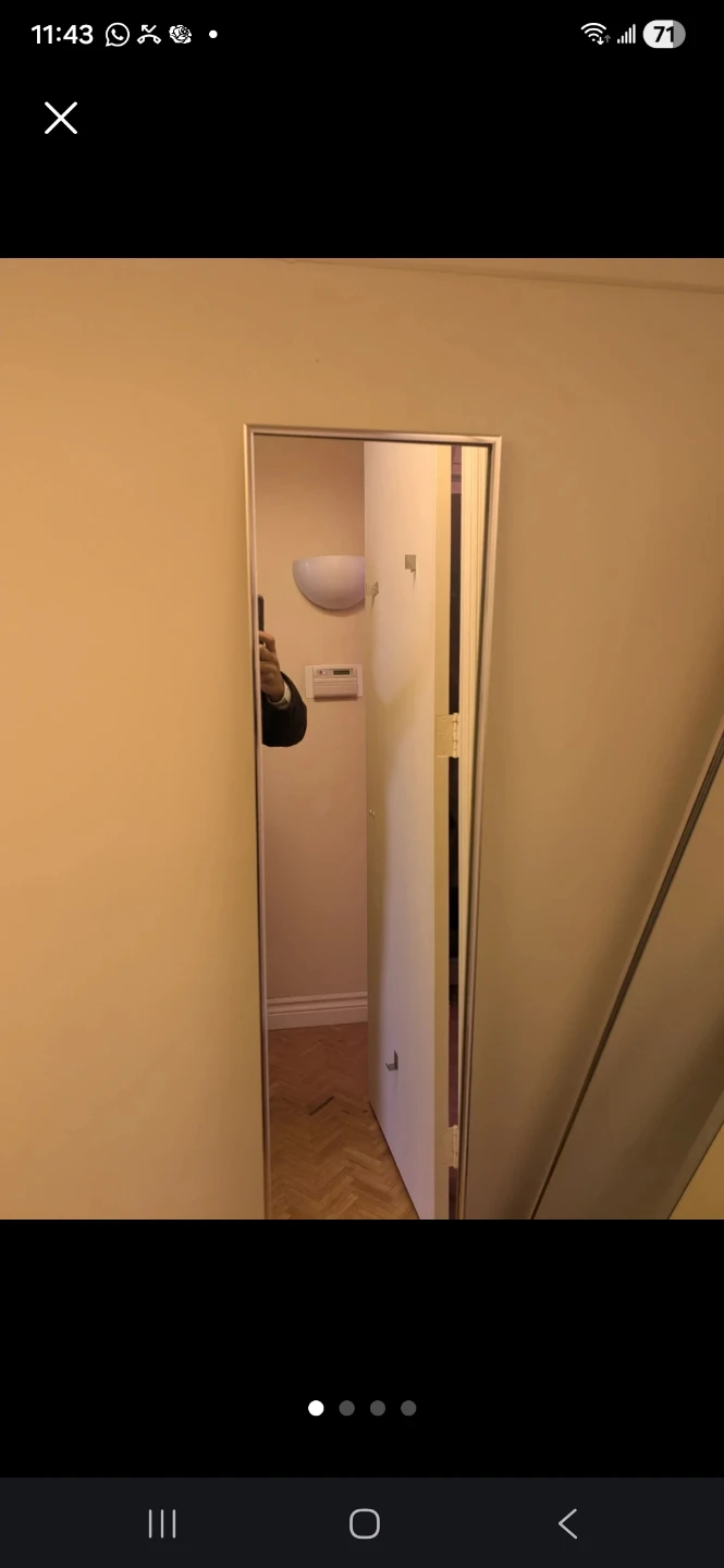 Full Length Mirror - photo 4