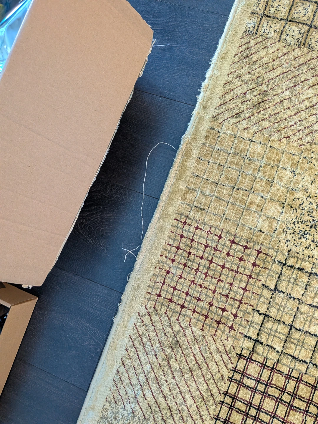 Area Rug with Geometric Pattern - photo 3