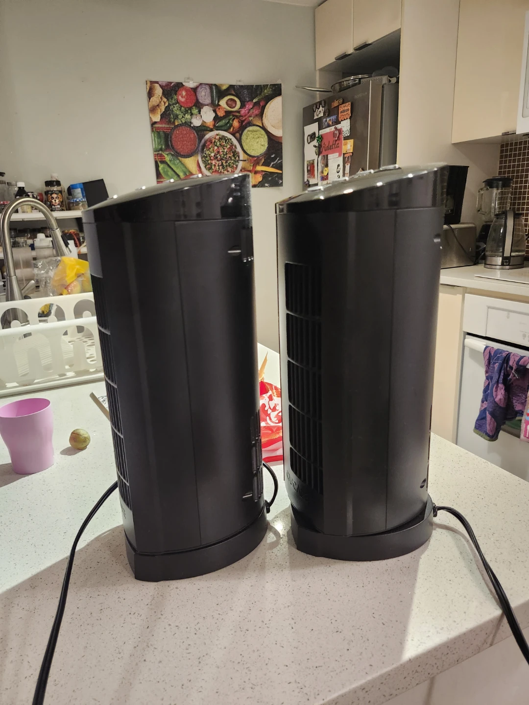 Two Black Tower Fans
