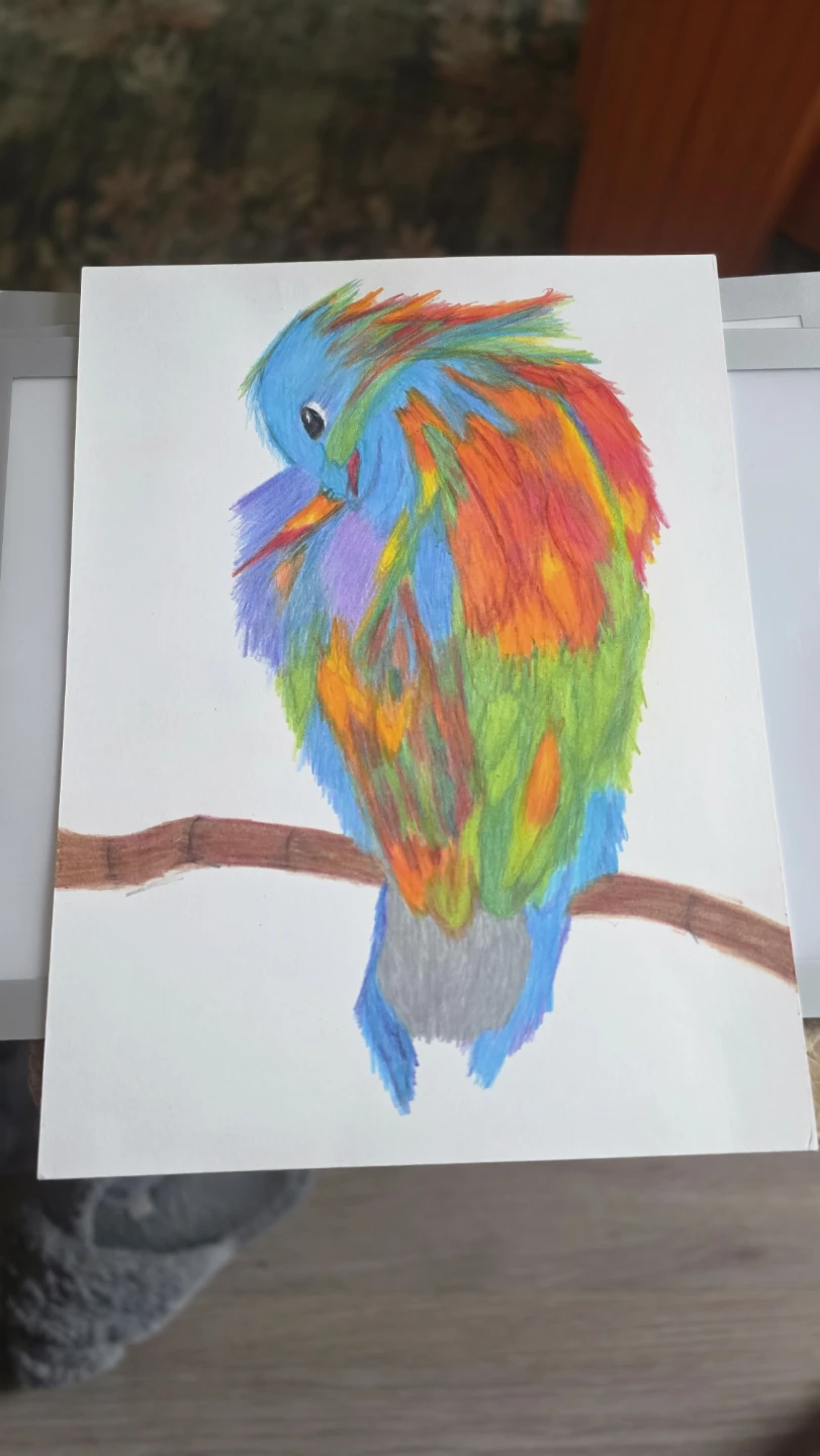 Framed Drawings: Different artworks - photo 3