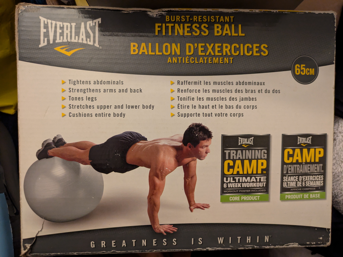 🏆 BRAND NEW EVERLAST Fitness ball 65cm - silver/grey