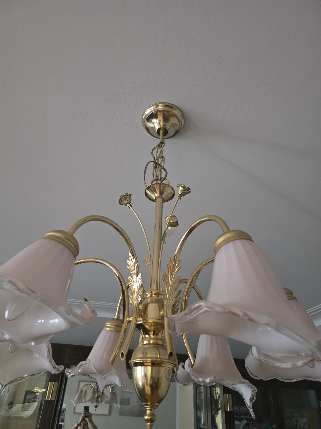 5-Light Chandelier with Pink Glass Shades - photo 3