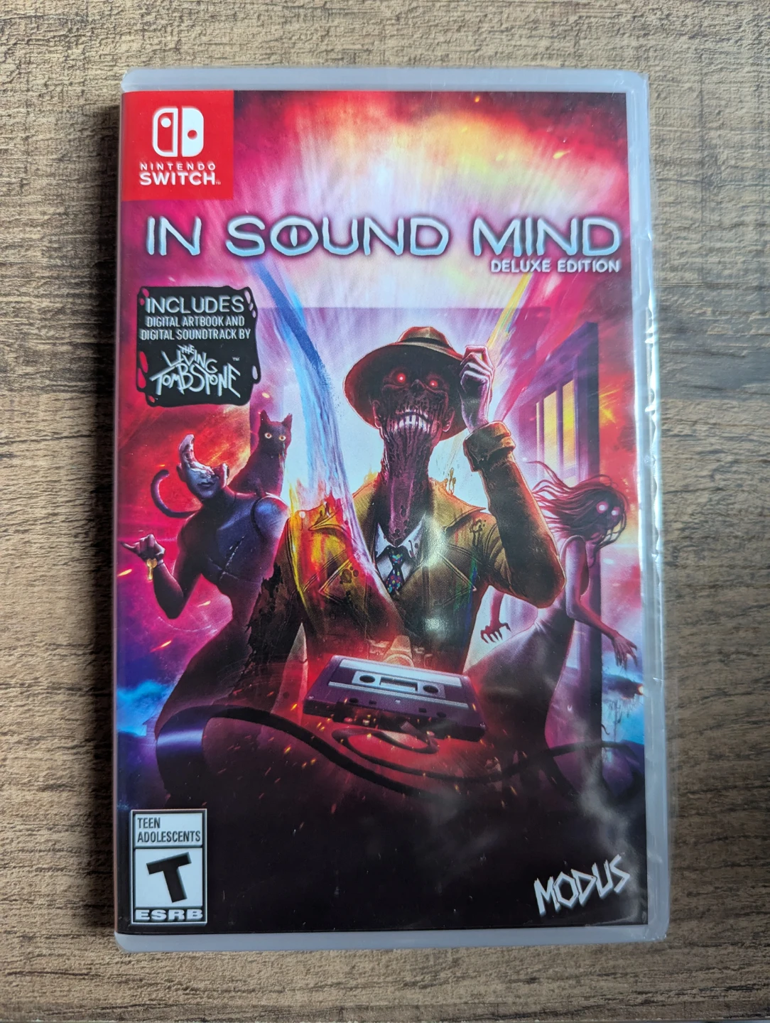 Nintendo Switch In Sound Mind game