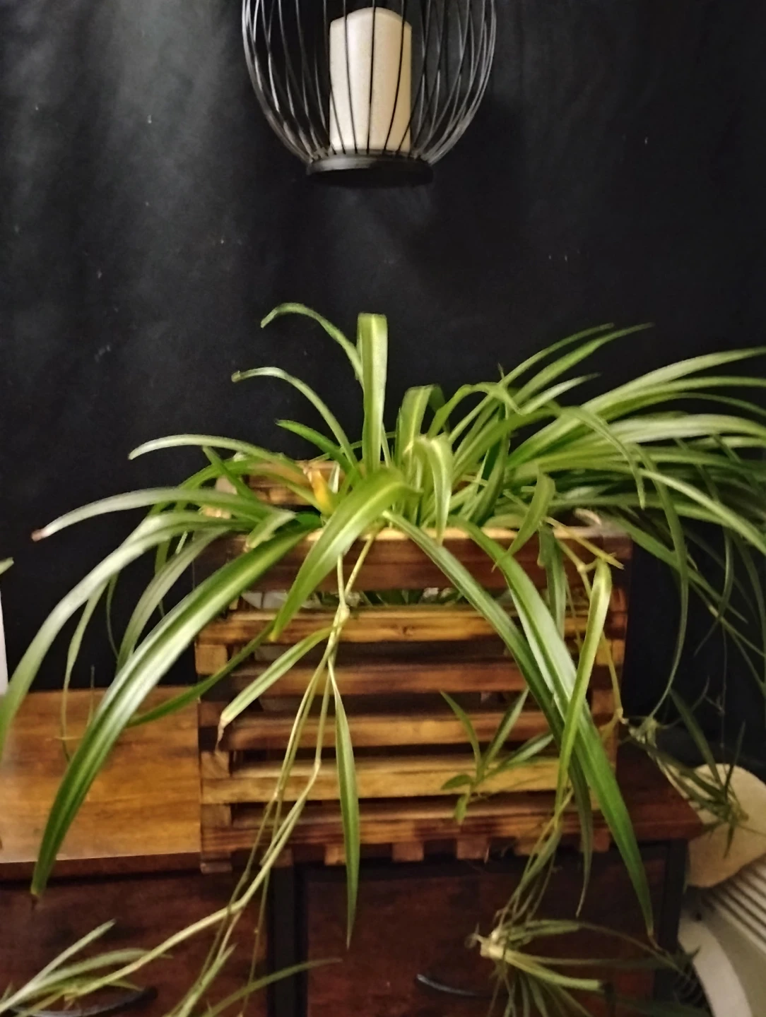 Wooden Hanging Planter Basket
