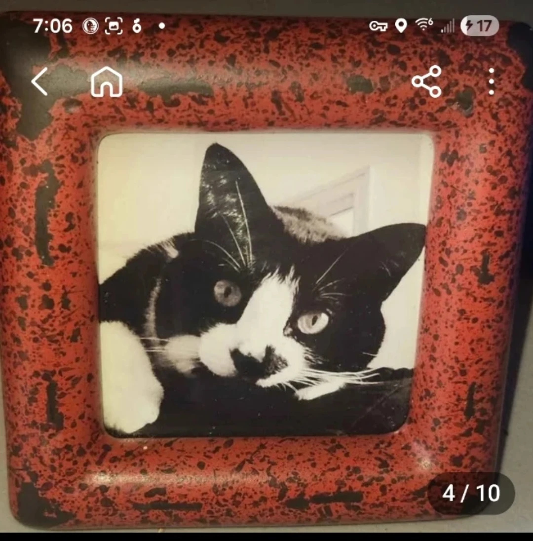 Photo Frame Collection - Dog and Cat Theme - photo 4