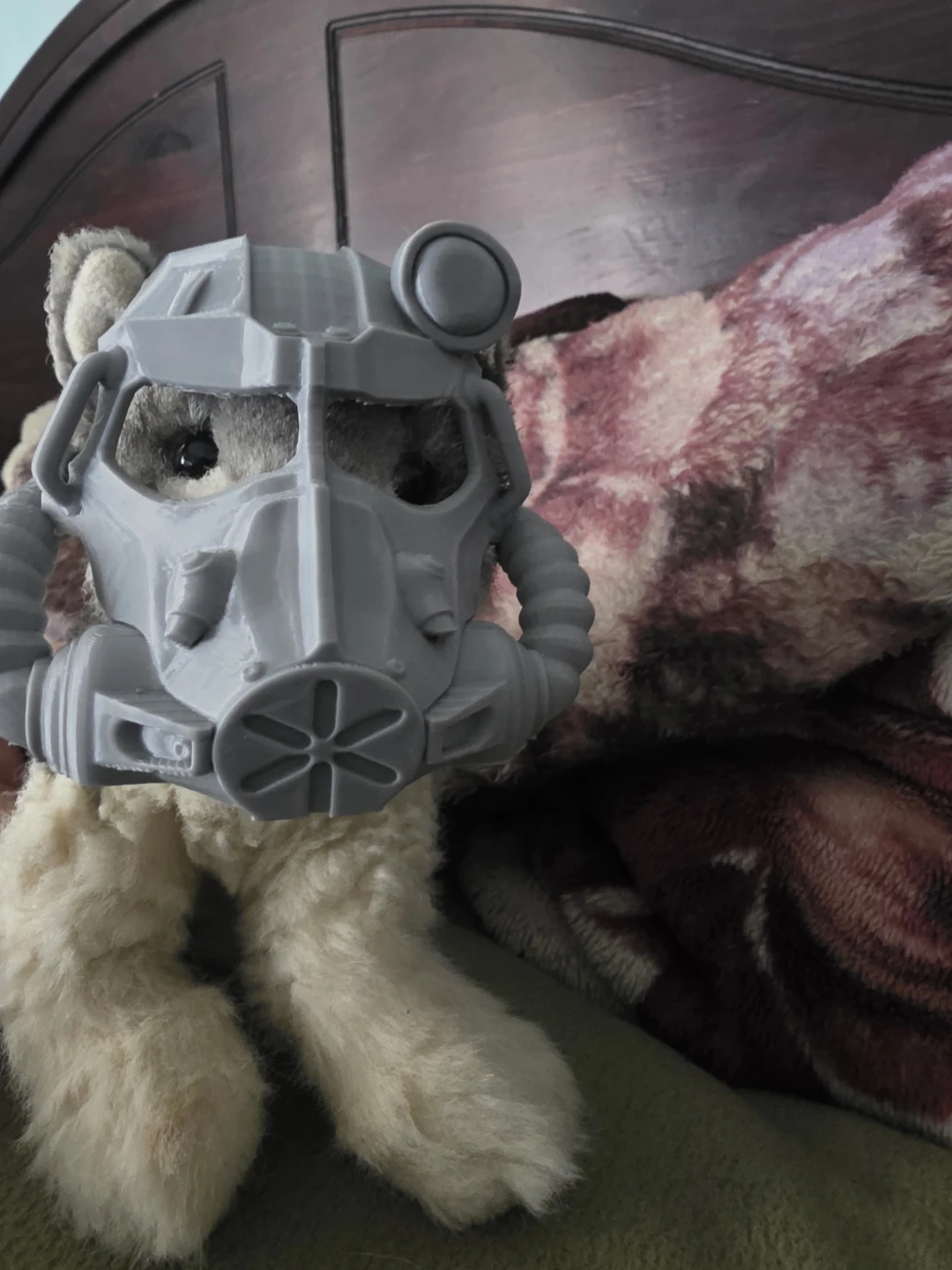 3d printed helmets or arms for pets (cats) - photo 3
