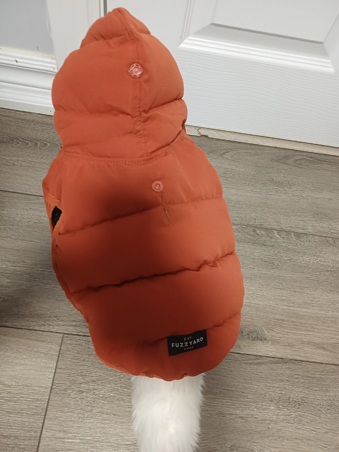 Fuzzyard Puffer Dog Jacket - Orange - photo 3