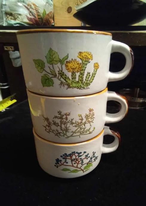 Set of 3 Vintage Ceramic Mugs with Botanical Designs