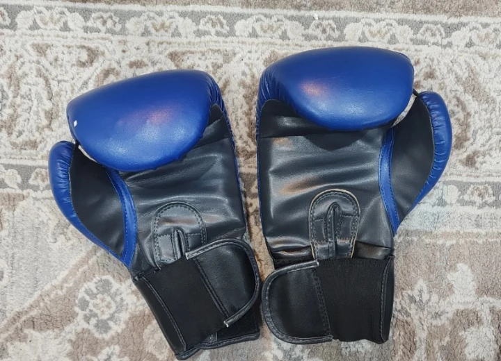 GOZOZON Blue Boxing Gloves