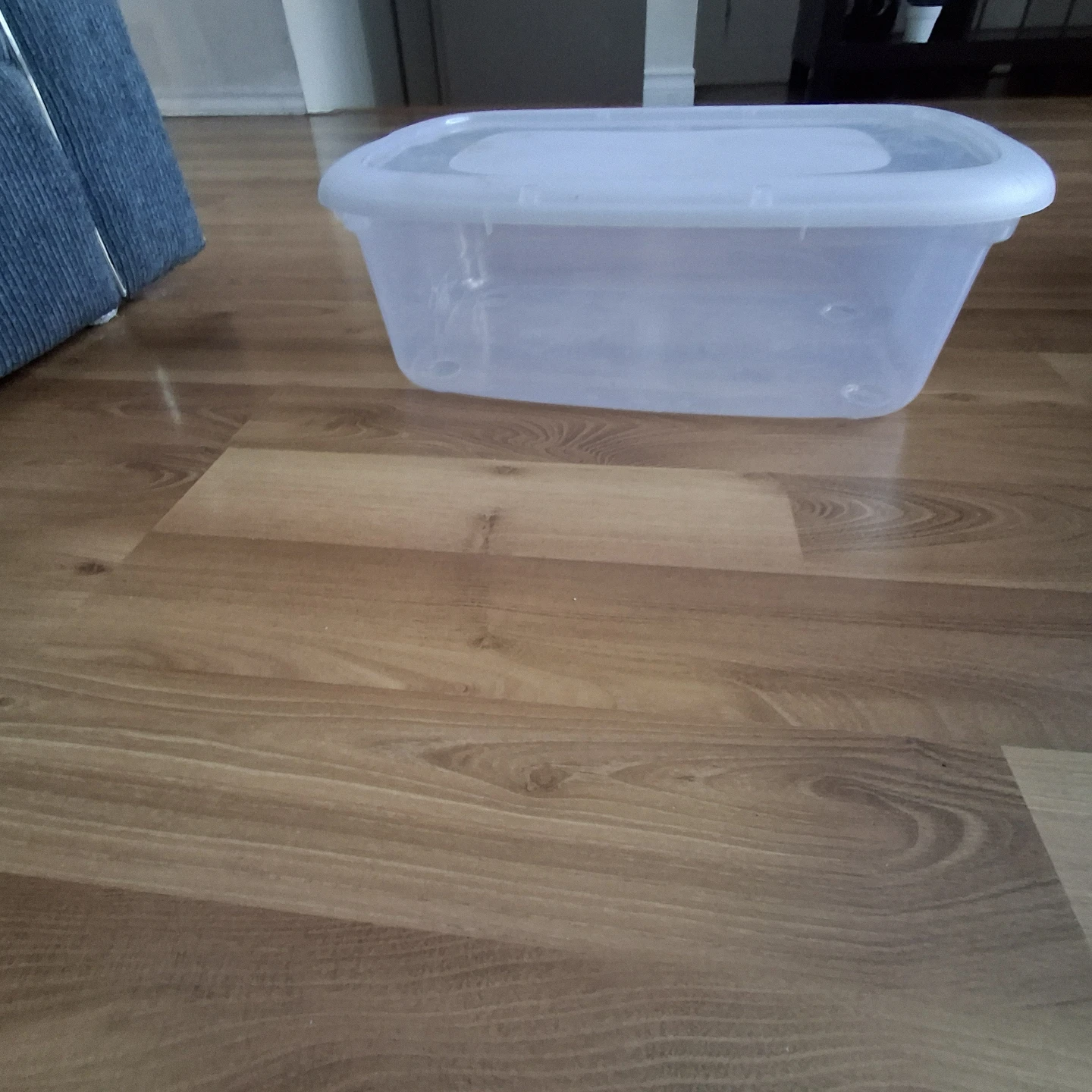 Clear Plastic Storage Container with Lid - photo 2