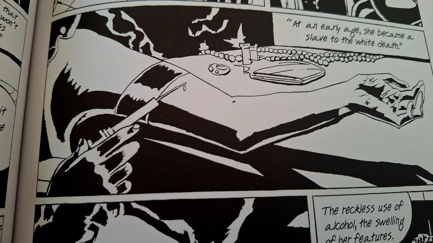 Billie Holiday Graphic Novel - photo 4