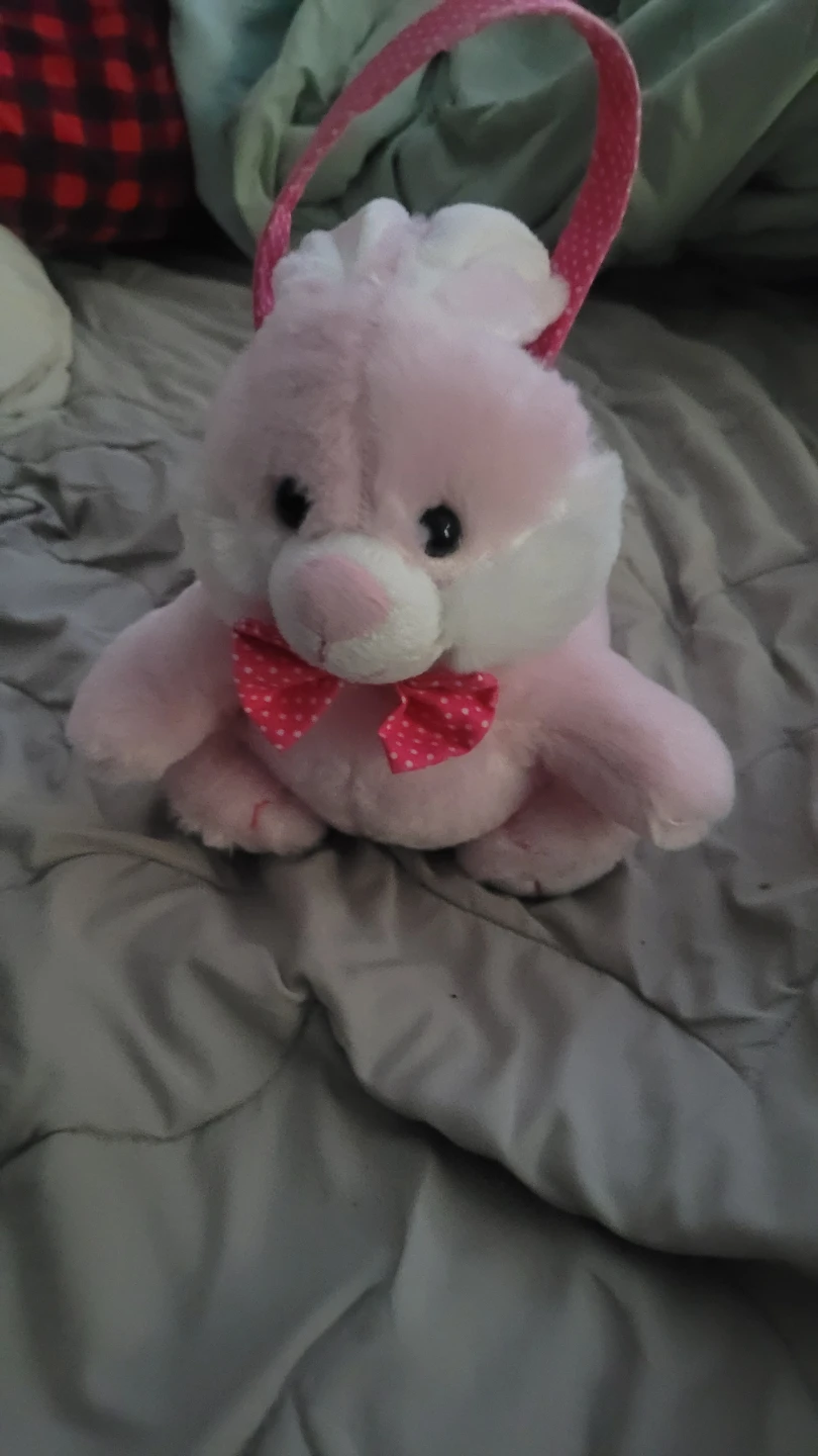 🏆Plush Pink Bunny Easter Basket