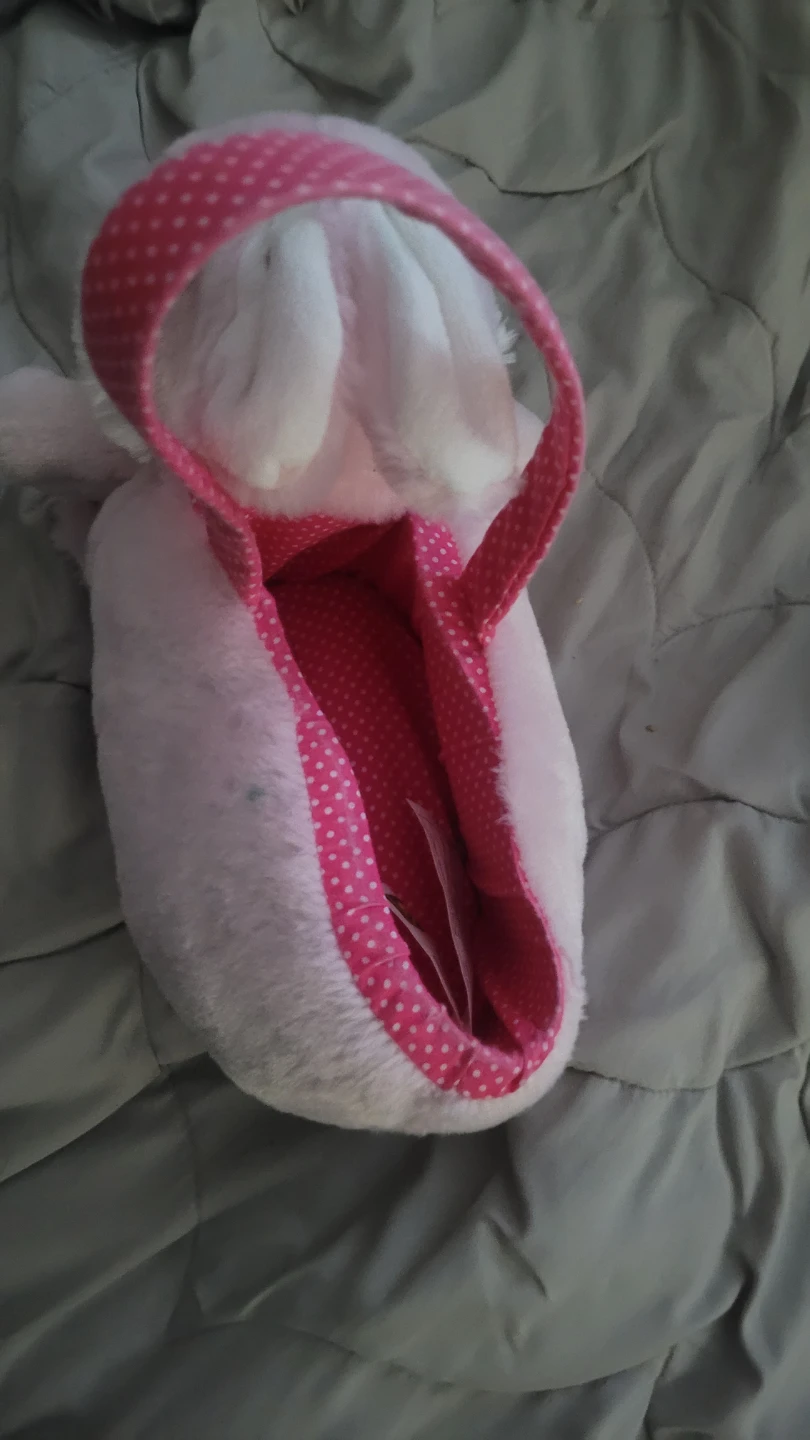 🏆Plush Pink Bunny Easter Basket - photo 2