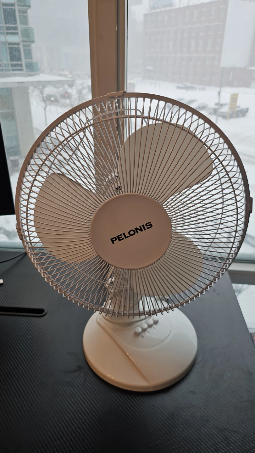 Pelonis White Desk Fan 🏆