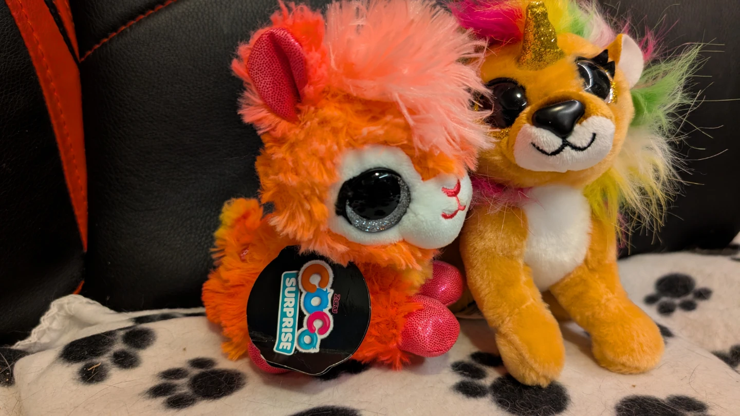 Coco Surprise Plush Toys - photo 2