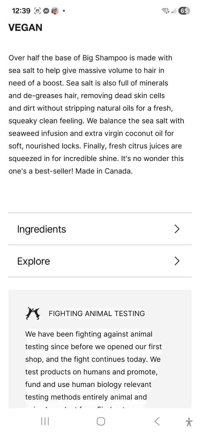 Lush BIG Shampoo - photo 2