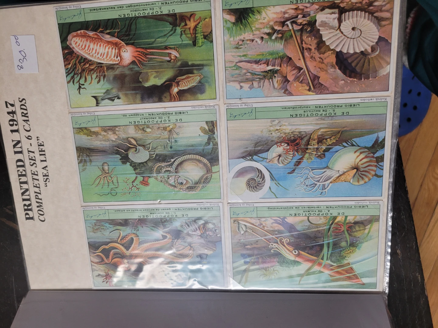 8 set 1949 48 47 Liebig" chromolithograph trade cards - photo 3