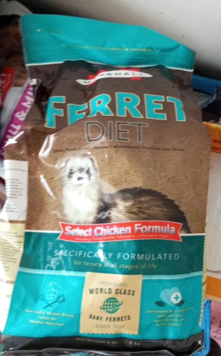 Marshall Ferret Diet
