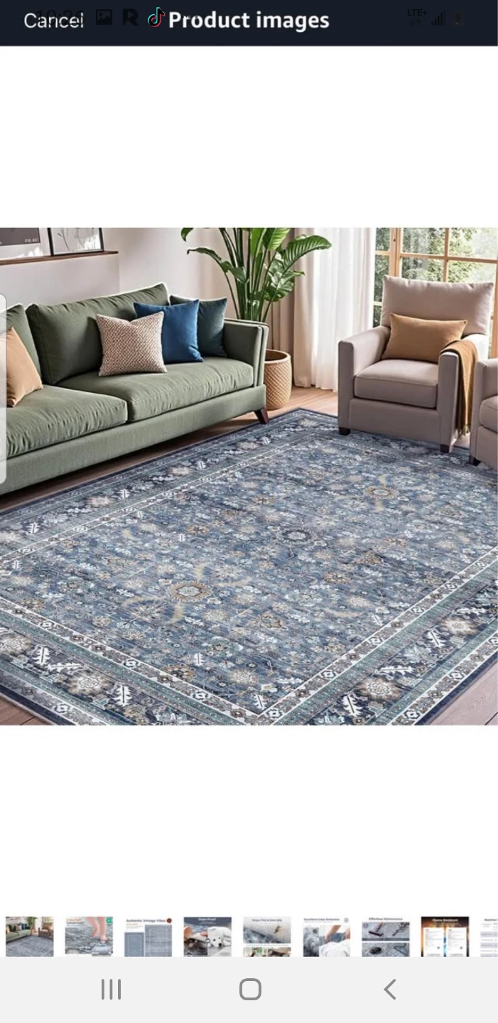 Persian Style Area Rug - Blue/Grey