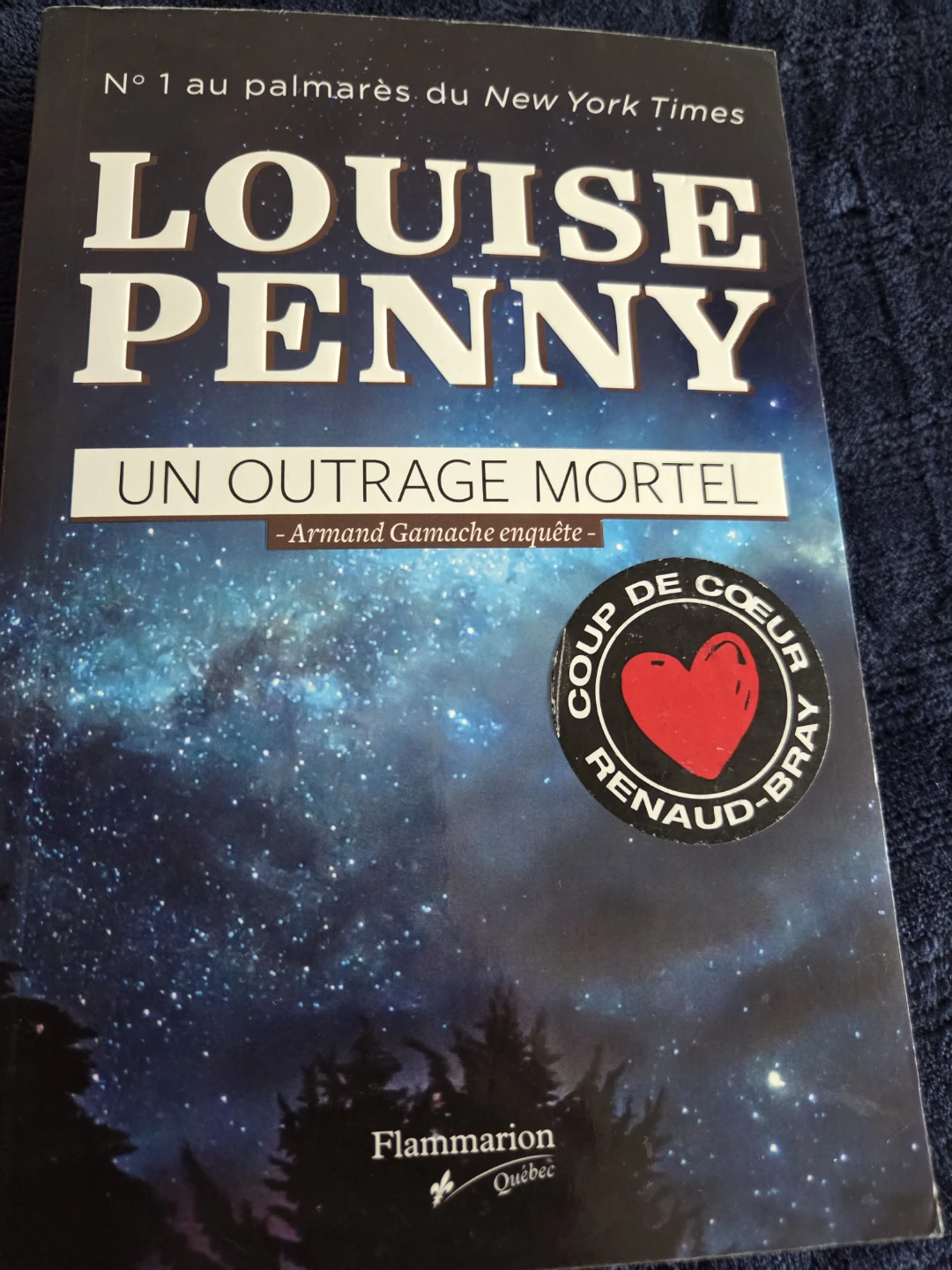 LOUISE PENNY UN OUTRAGE MORTEL French edition