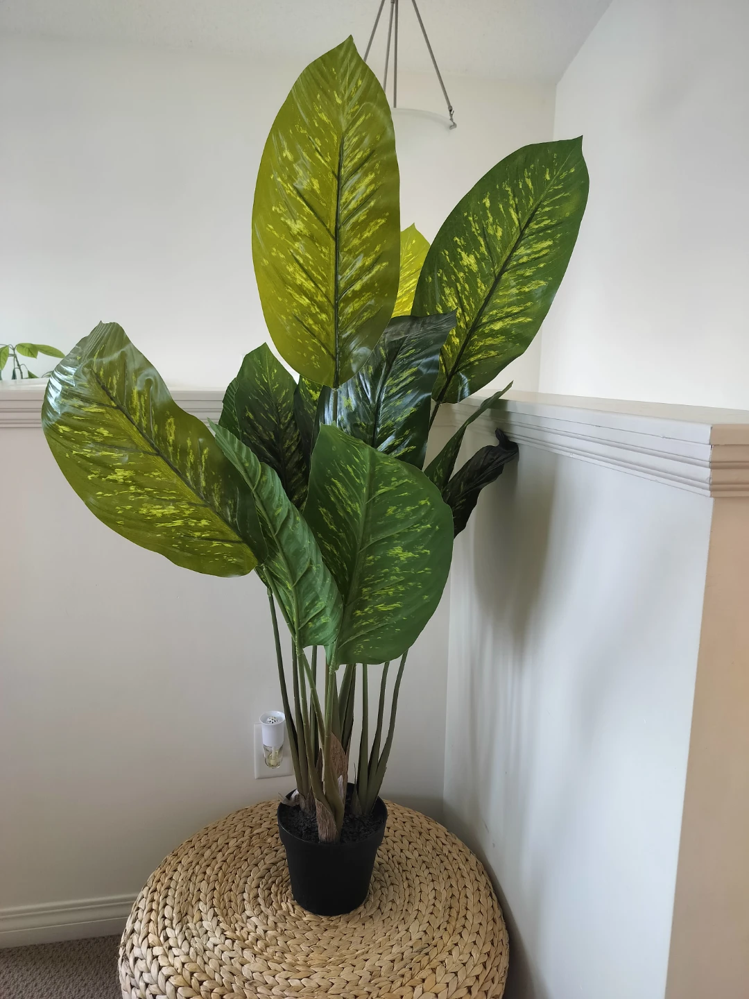 Large Faux Dieffenbachia Plant