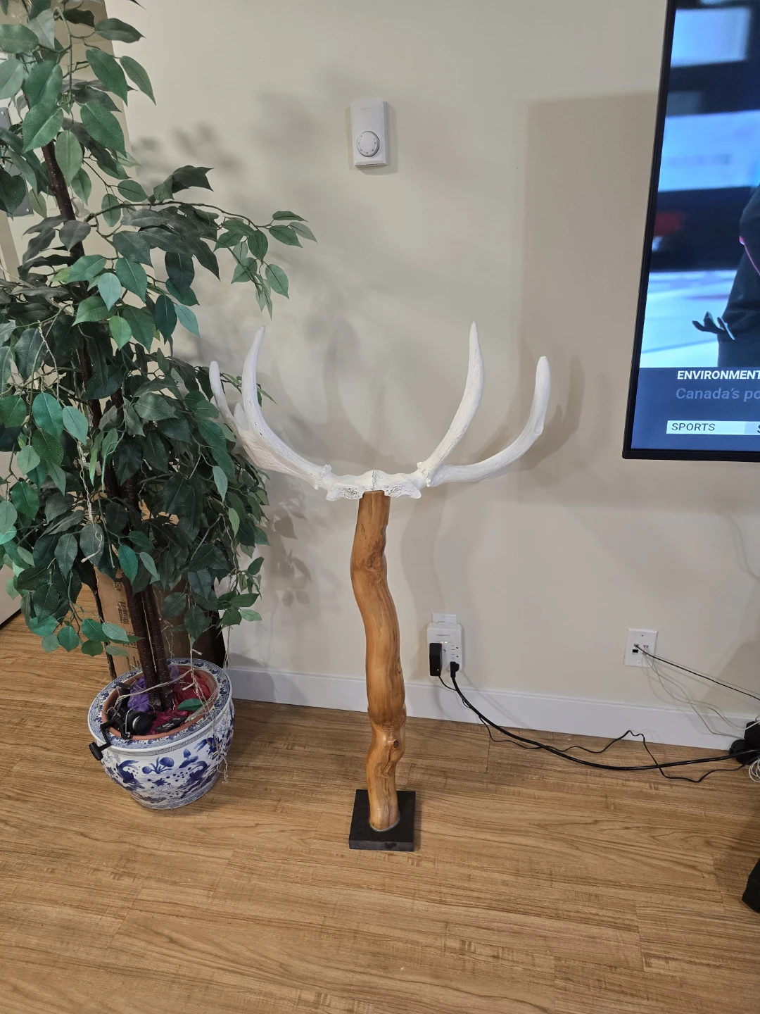 White  Moose Antler Decorative Stand