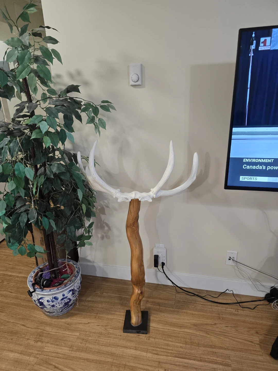 White  Moose Antler Decorative Stand - photo 2