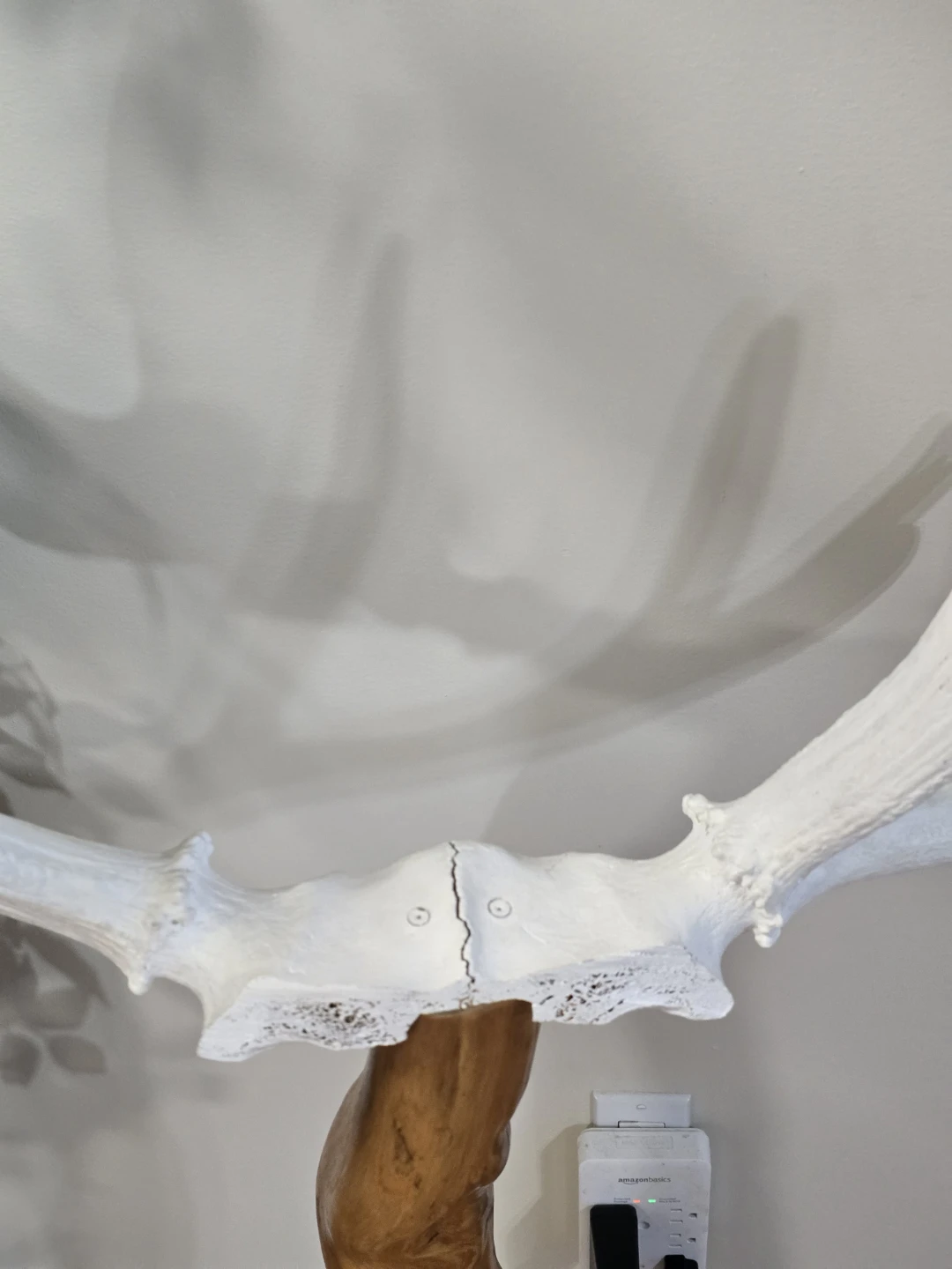White  Moose Antler Decorative Stand - photo 5
