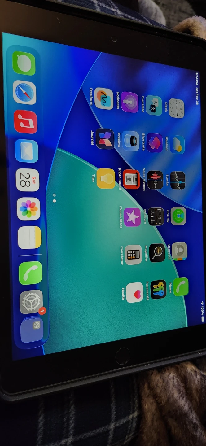 Apple iPad (9th Gen) 256GB WiFi - Space Gray - photo 3