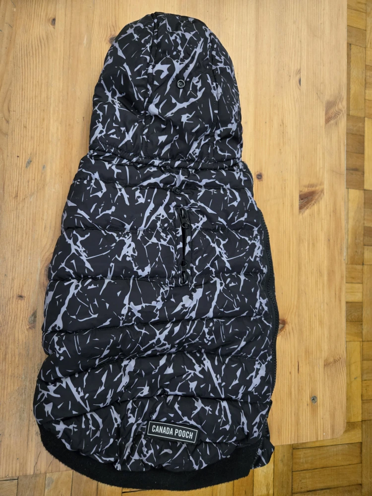 Dog coat