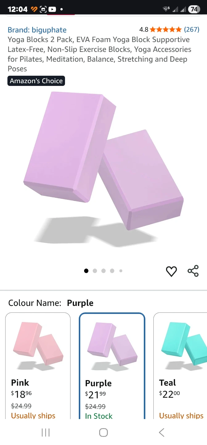 Yoga Blocks only