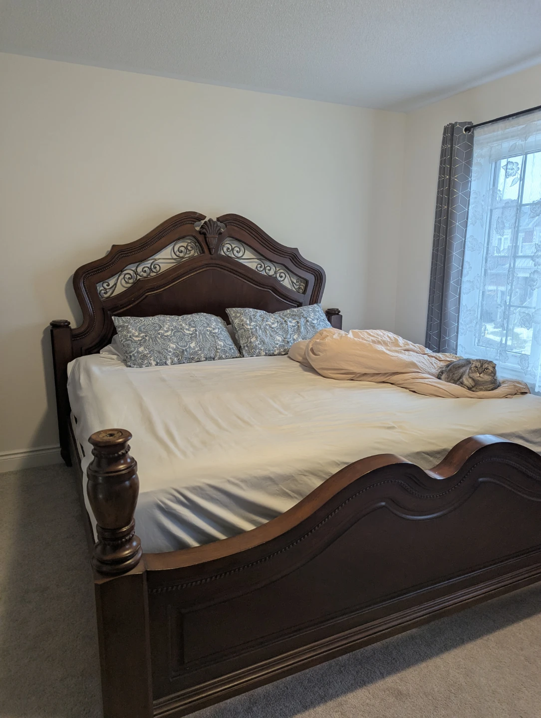 Dark Brown Ornate Wood Bed Frame with Metal Inserts