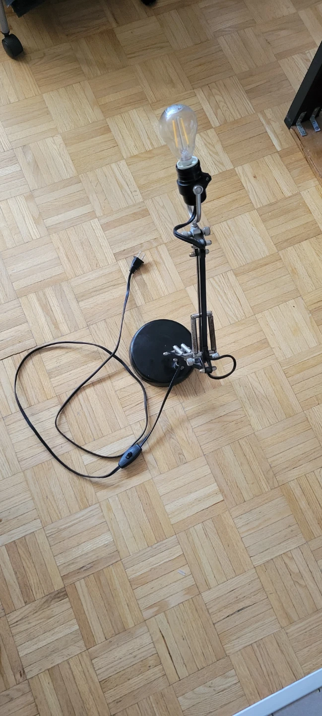 Adjustable Desk Lamp with Bulb