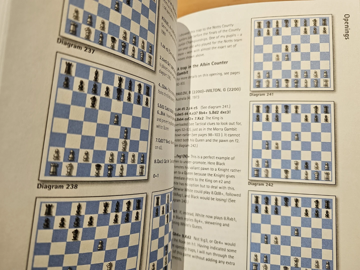 Basic Chess Book by David Levens and Hamlyn - photo 4